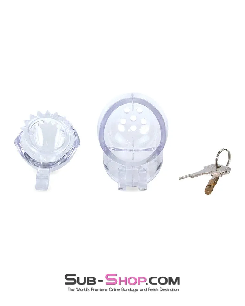 0740M      Small Egg Cock and Balls Chastity Cage with Spiked Anti Pull Off Ball Torture Ring