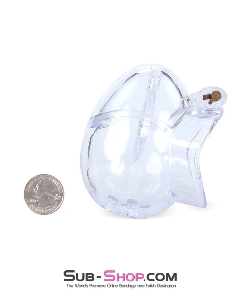 0741M      Medium Egg Cock and Balls Chastity Cage with Spiked Anti Pull Off Ball Torture Ring