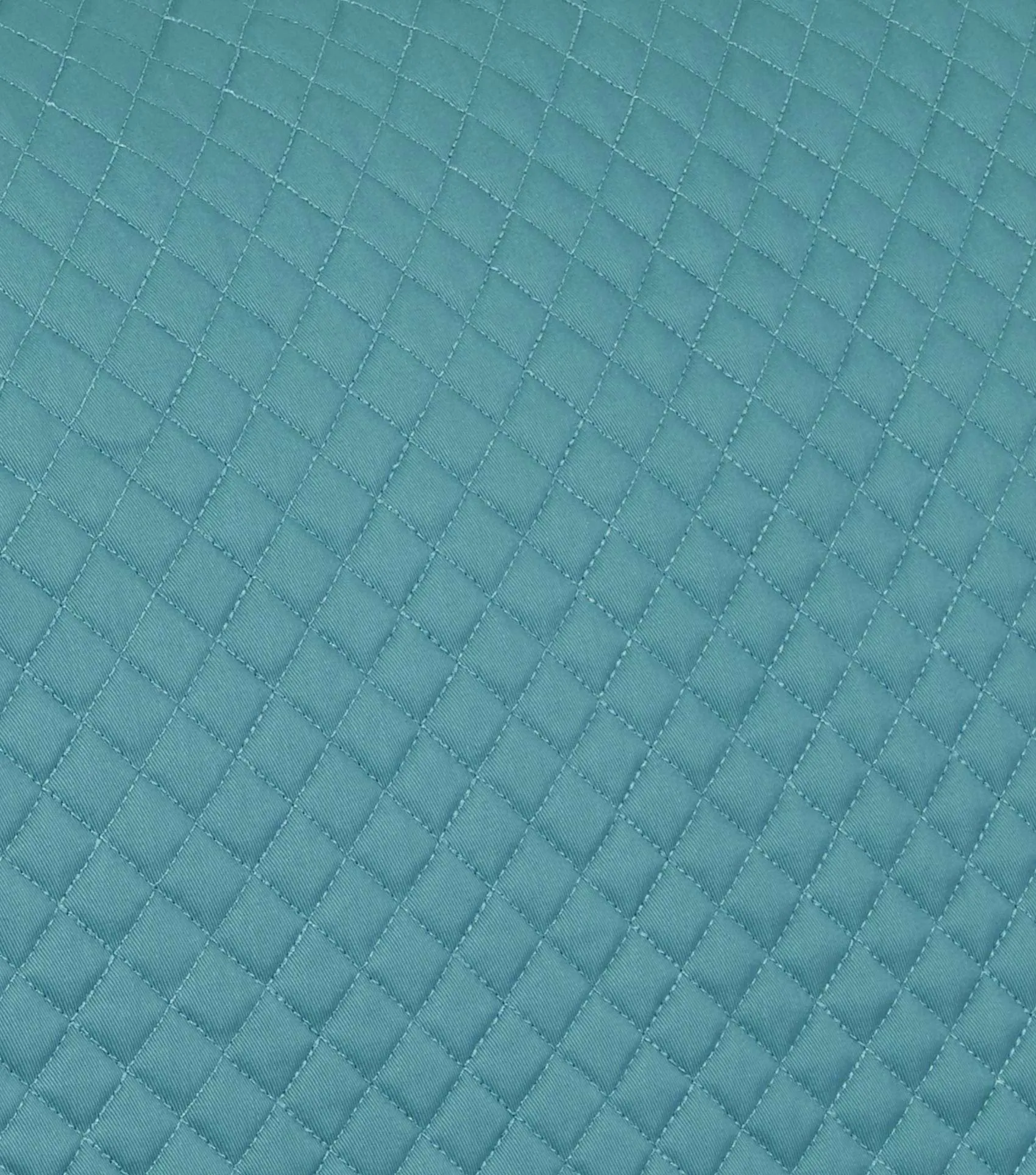 Pony Plain Cotton GP/Jump Square Turquoise